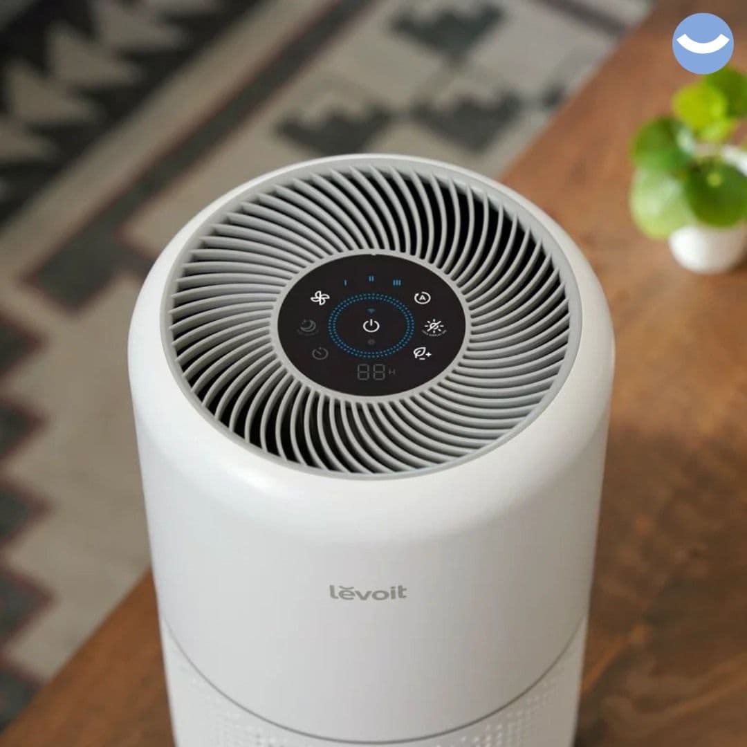 FGI Brand Image for Levoit